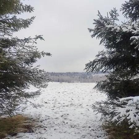 Lägenhet Zakatek Pod Lipka